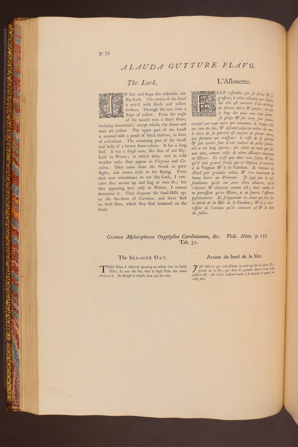 Page 32